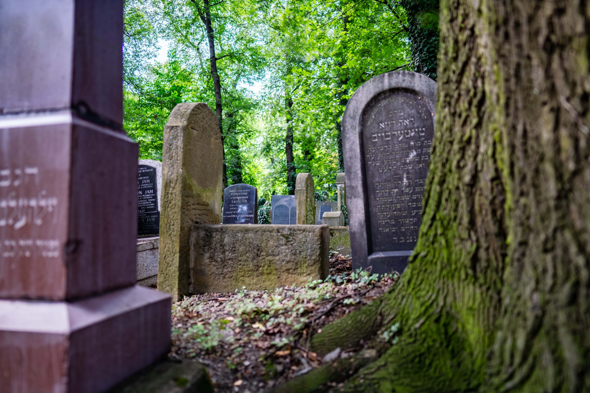 Jewish cemetary1 copy.jpg