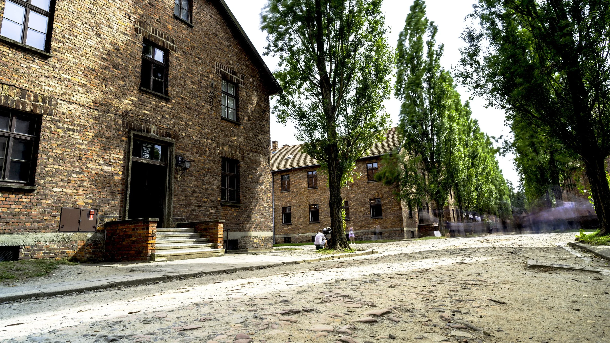 DSC09066-Enhanced-NR-HDR-Edit copy.jpg