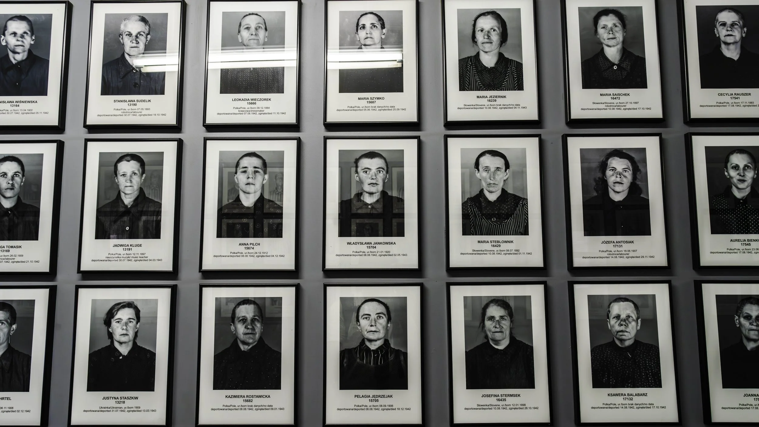 DSC09094-Enhanced-NR-Edit copy.jpg