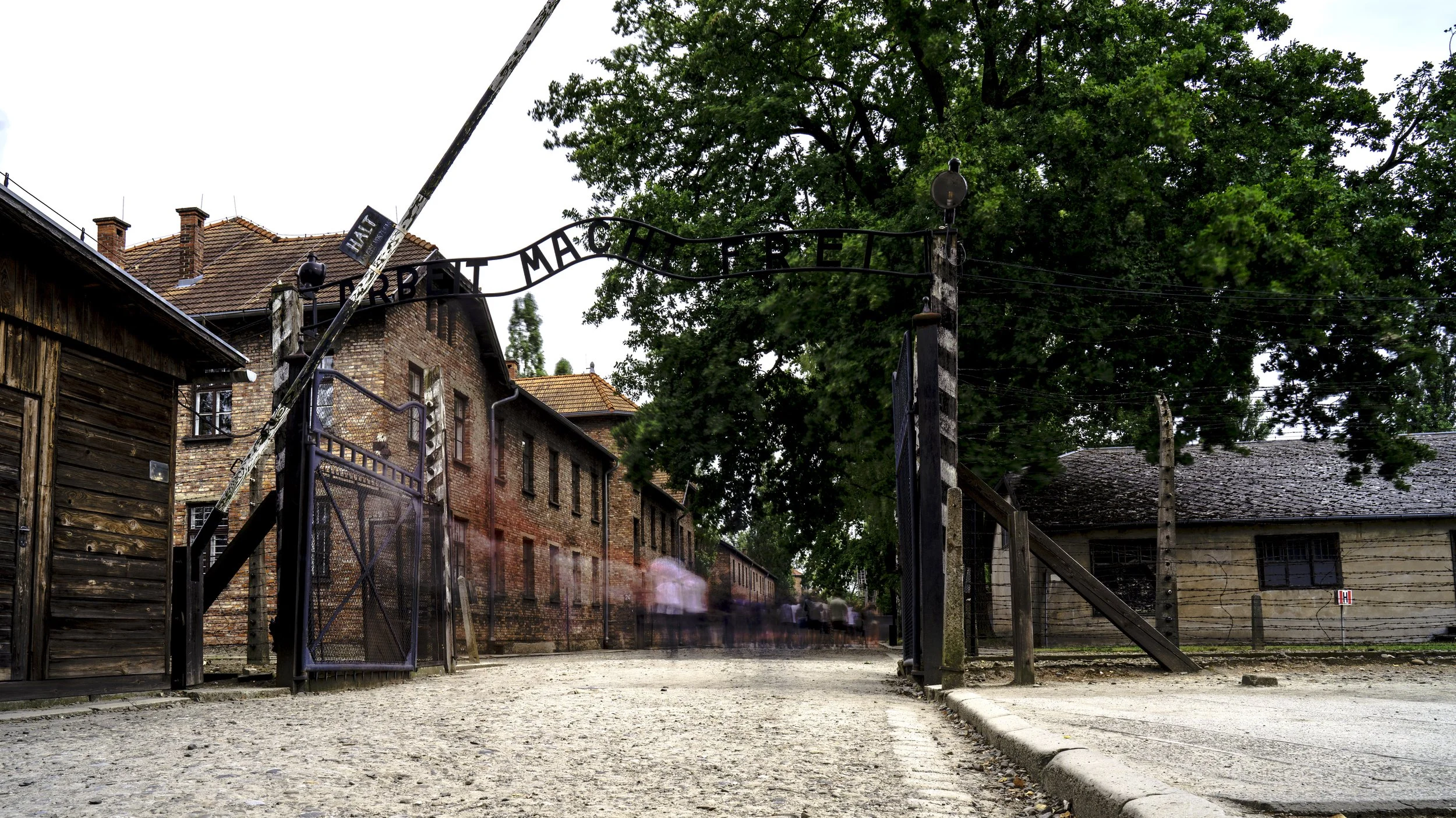 DSC09025-Enhanced-NR-HDR-Edit copy.jpg