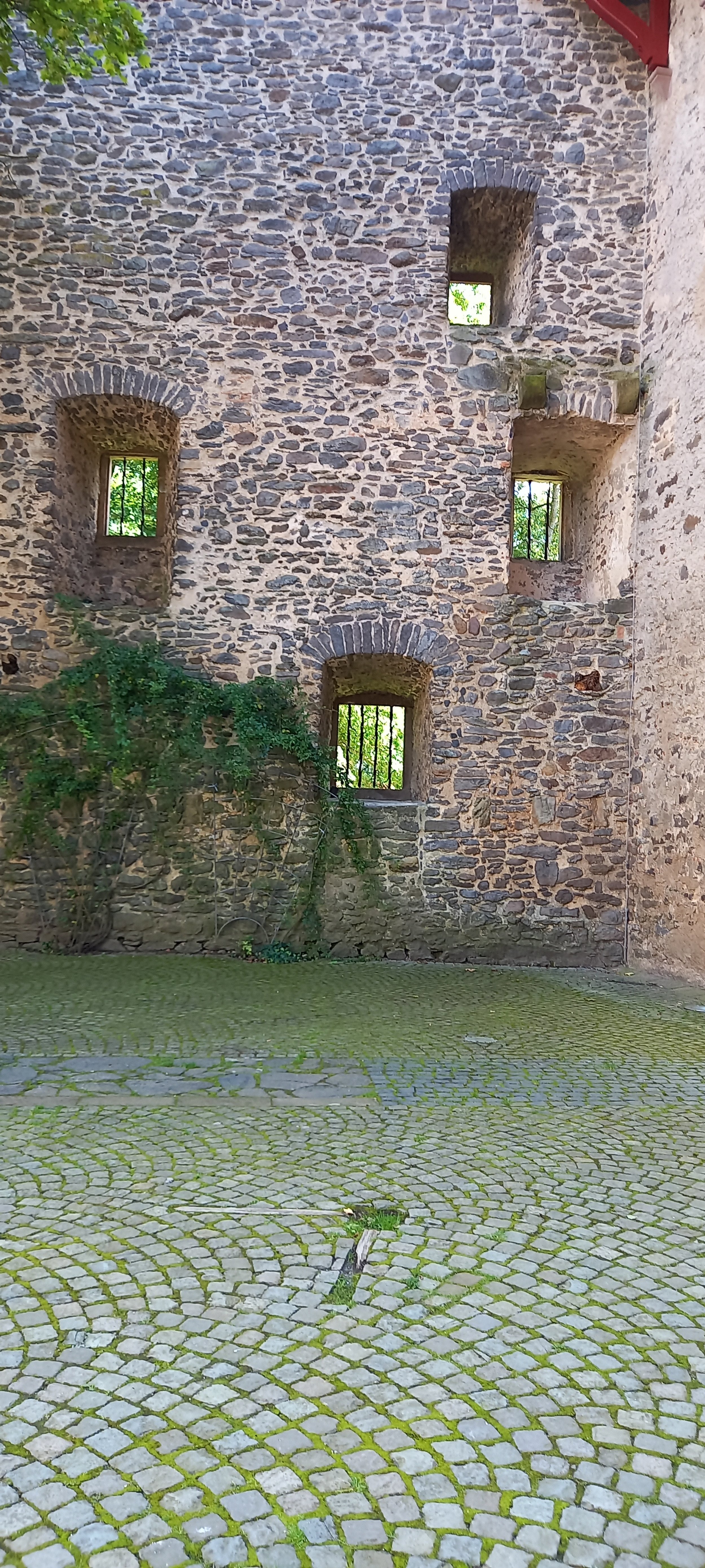 20230915_141011.jpg