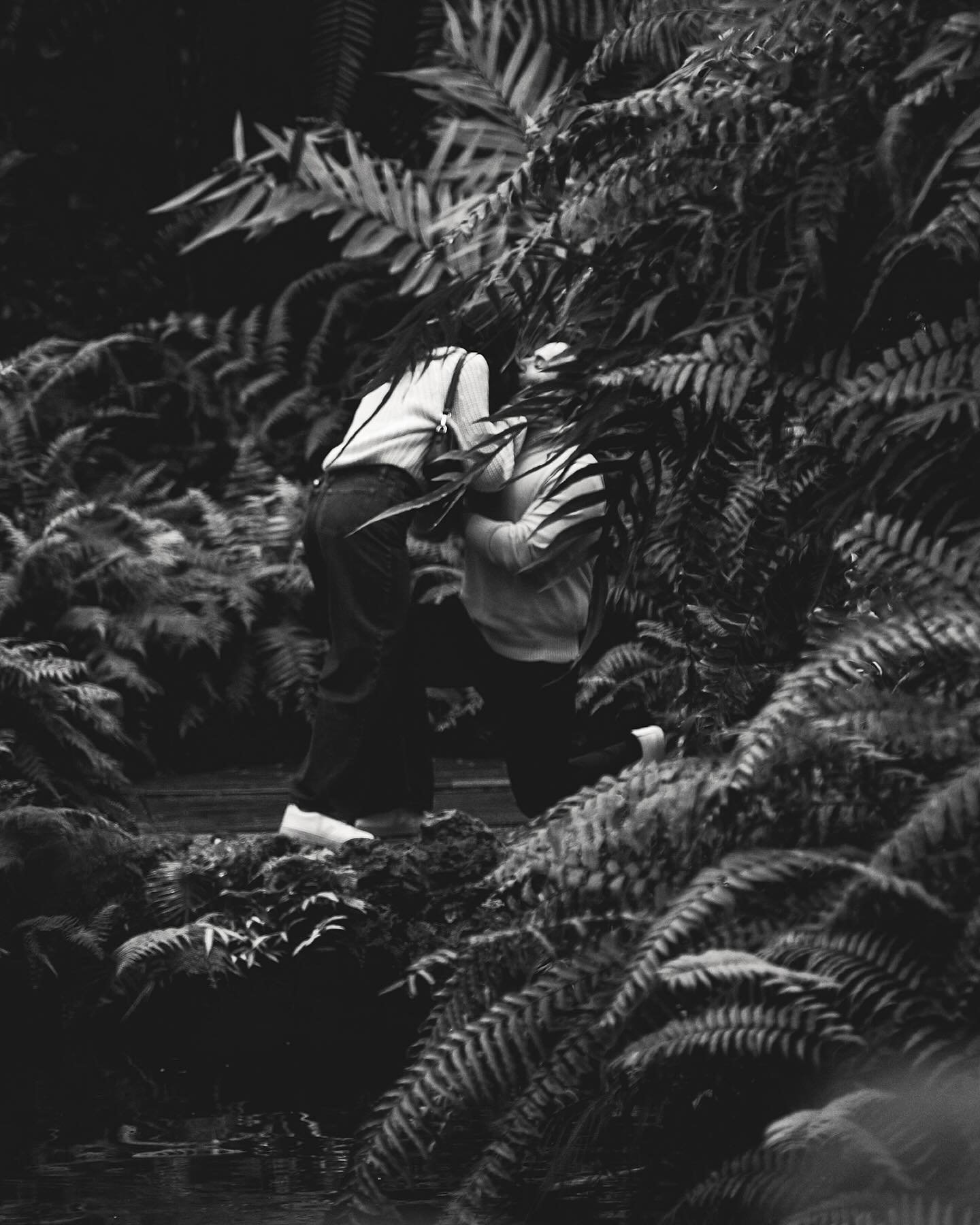 Surprises and snowstorms ❤️