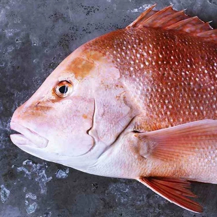 Red Emperor
