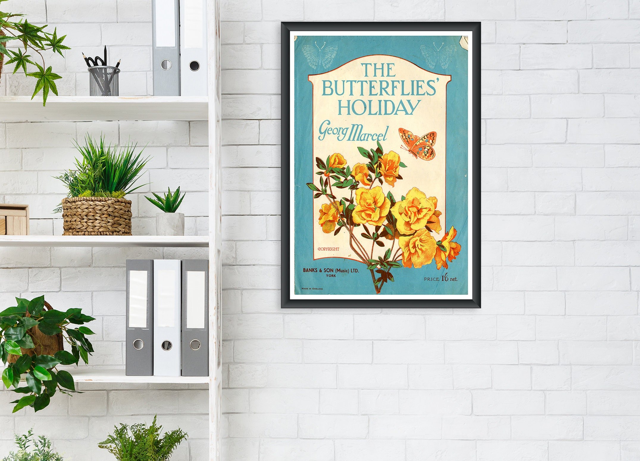 https://i.etsystatic.com/24912483/r/il/21c3ce/6076212851/il_fullxfull.6076212851_h972.jpg