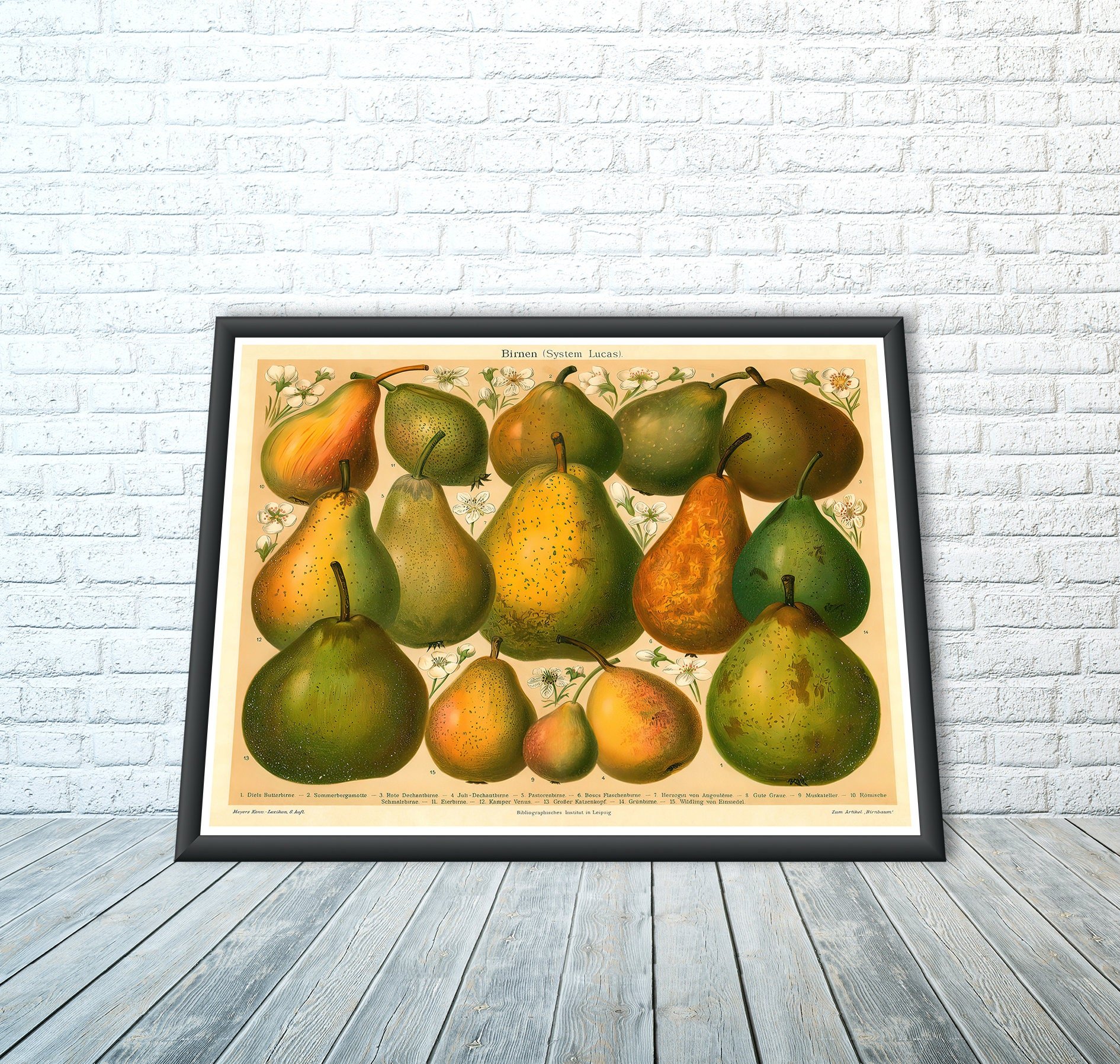 https://i.etsystatic.com/24912483/r/il/6ddabe/6124986546/il_fullxfull.6124986546_l51t.jpg
