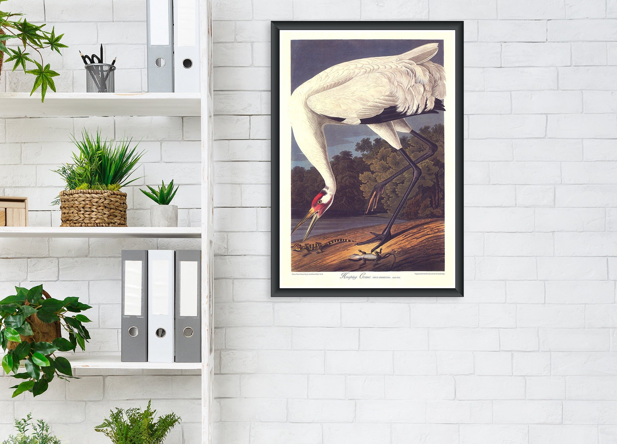 https://i.etsystatic.com/24912483/r/il/90371e/6173064361/il_fullxfull.6173064361_e61c.jpg