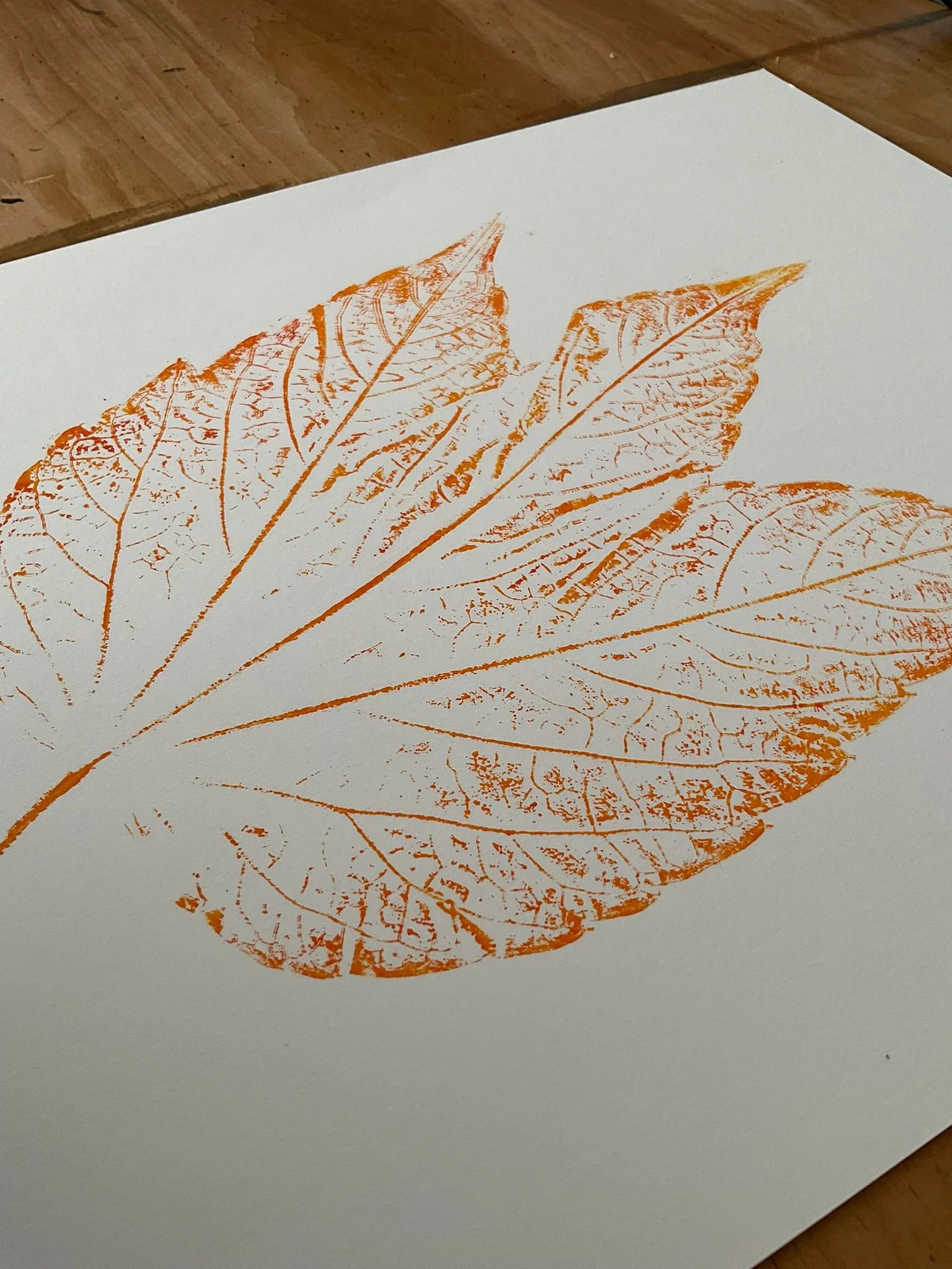 Botanical Monoprinting
