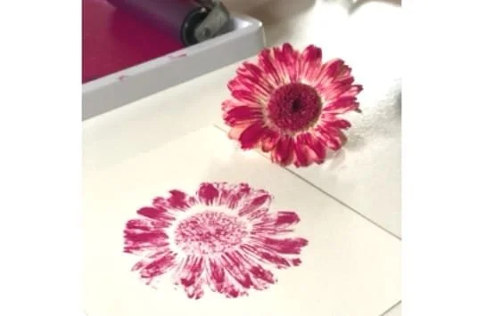 WhatsApp Image 2026-03-21 at 09.58.38.jpeg