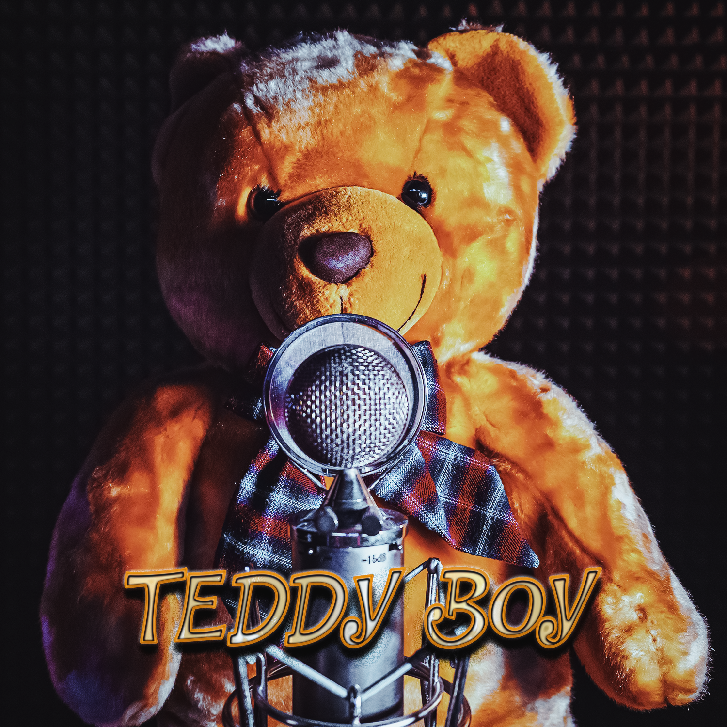 Teddy Boy - Front cover.png