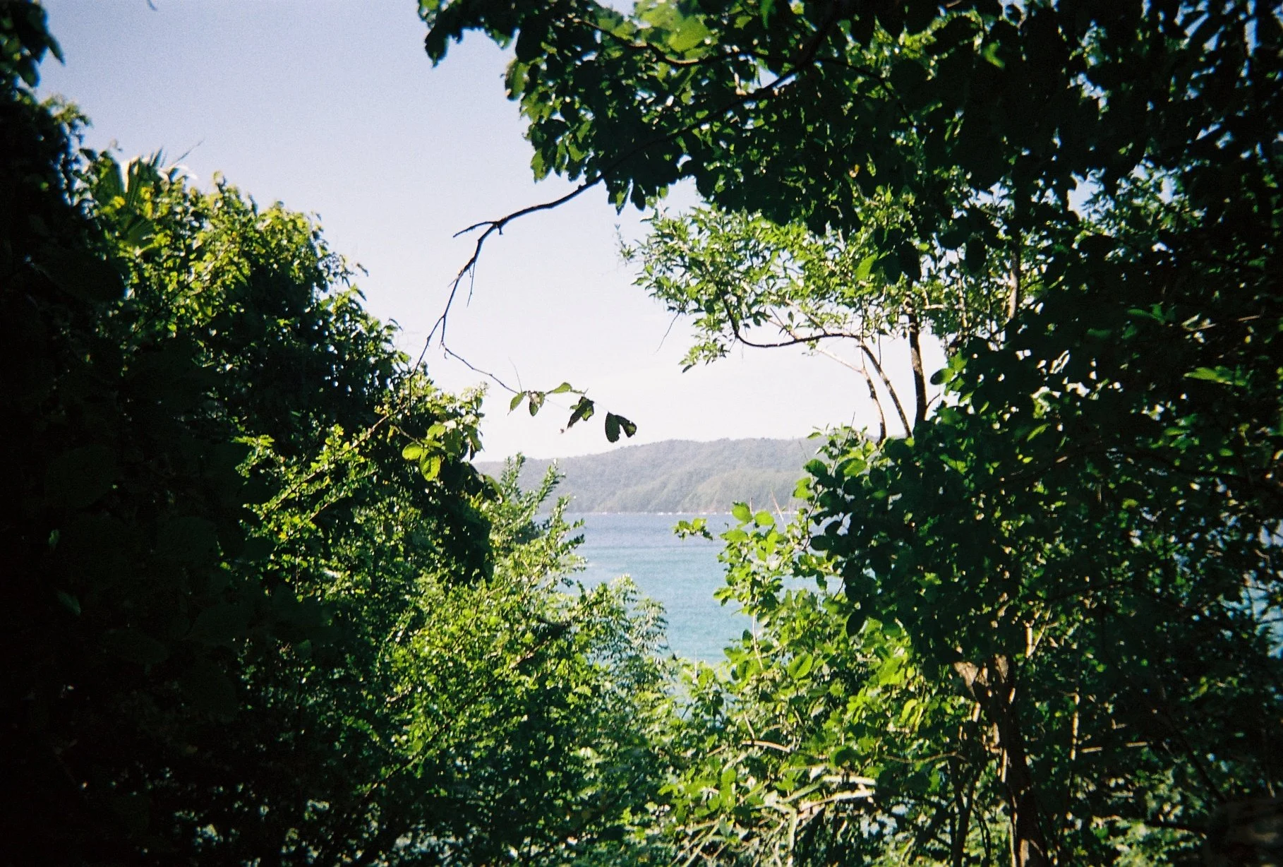 Photo May 14 2024, 7 22 56 PM (2).jpg