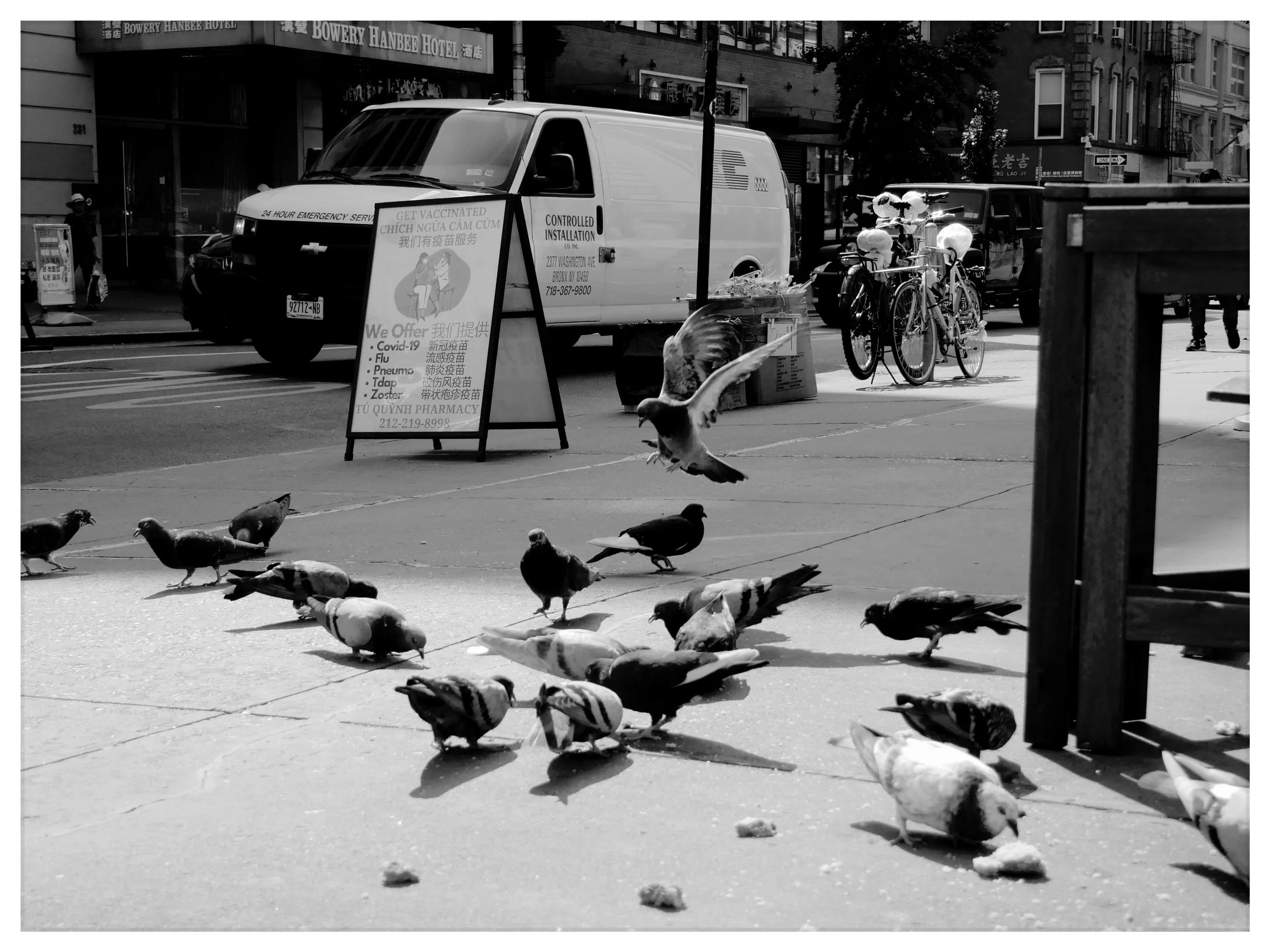 Photo Dec 25 2024, 7 57 20 PM.jpg