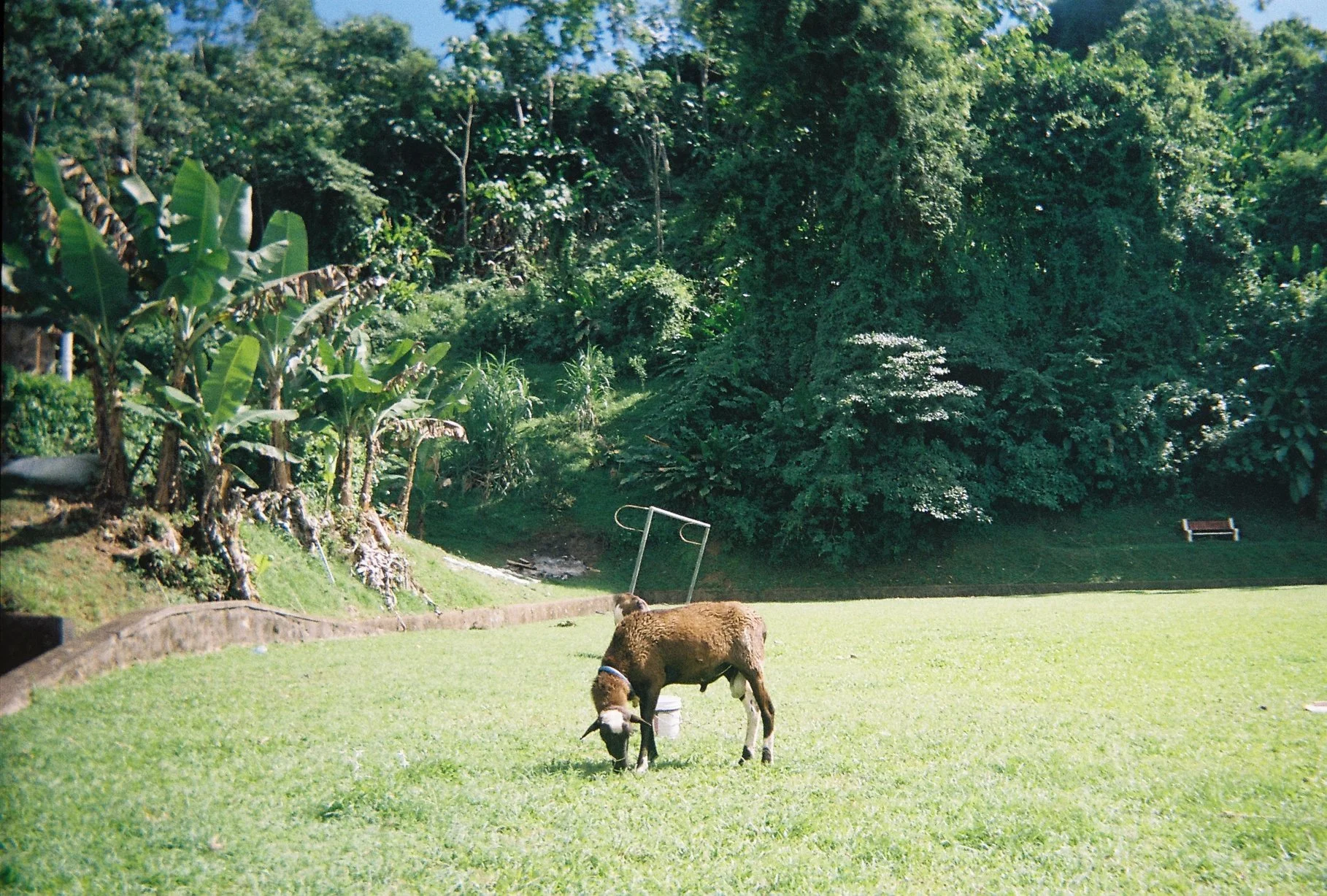 Photo May 16 2024, 7 12 58 AM (2).jpg