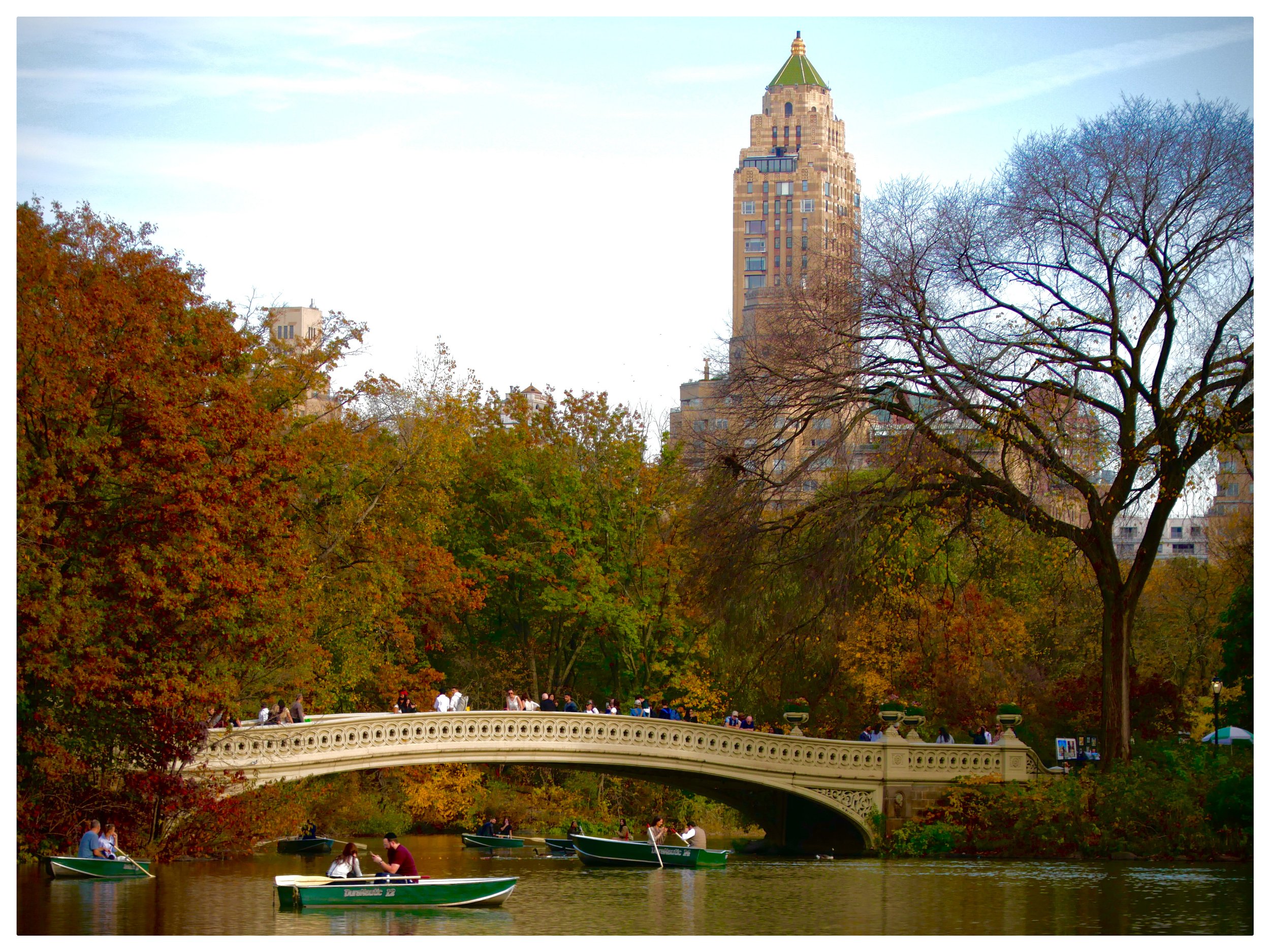 Photo Dec 25 2024, 9 12 20 PM.jpg