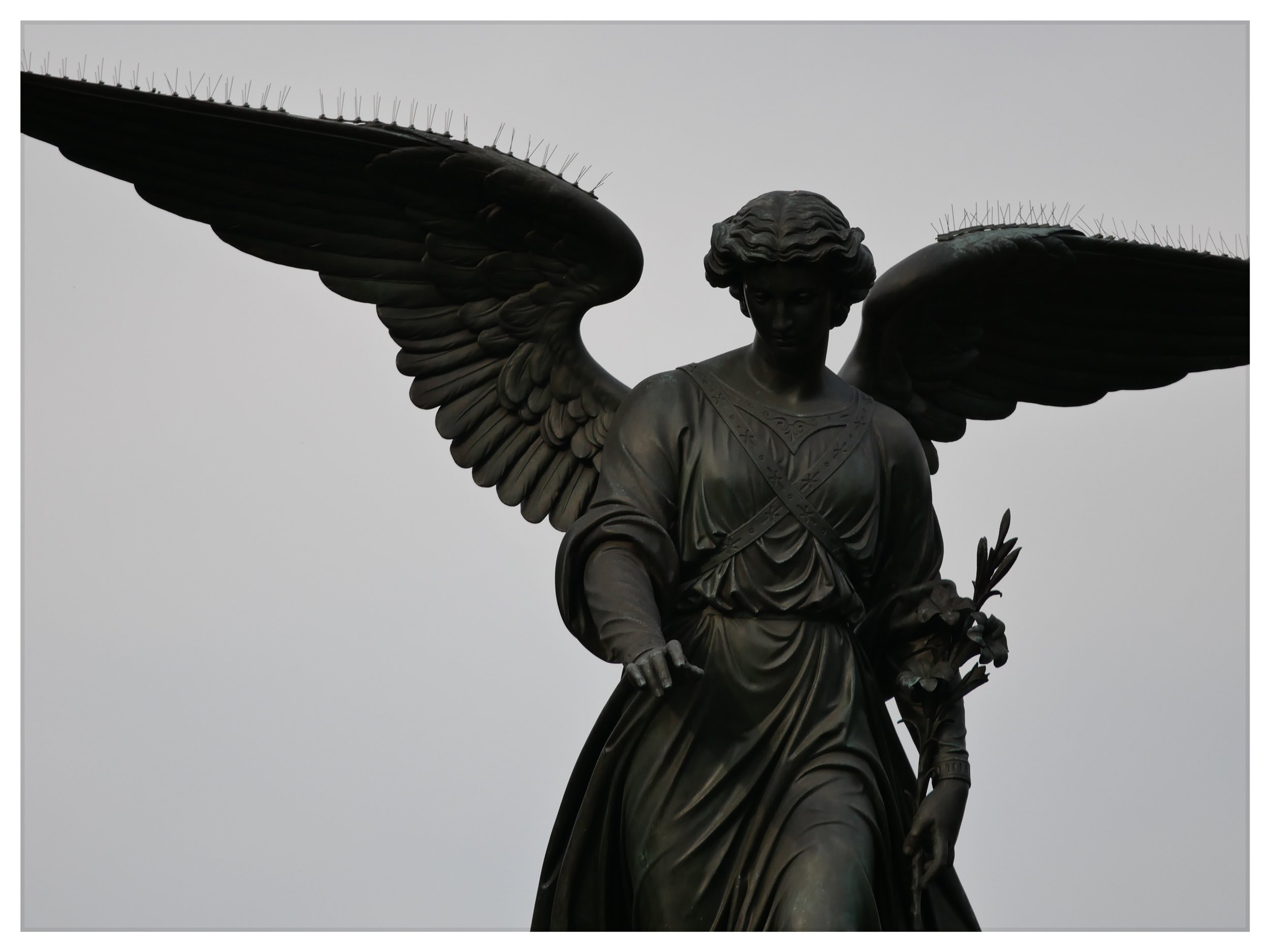 Photo Dec 25 2024, 9 13 02 PM.jpg