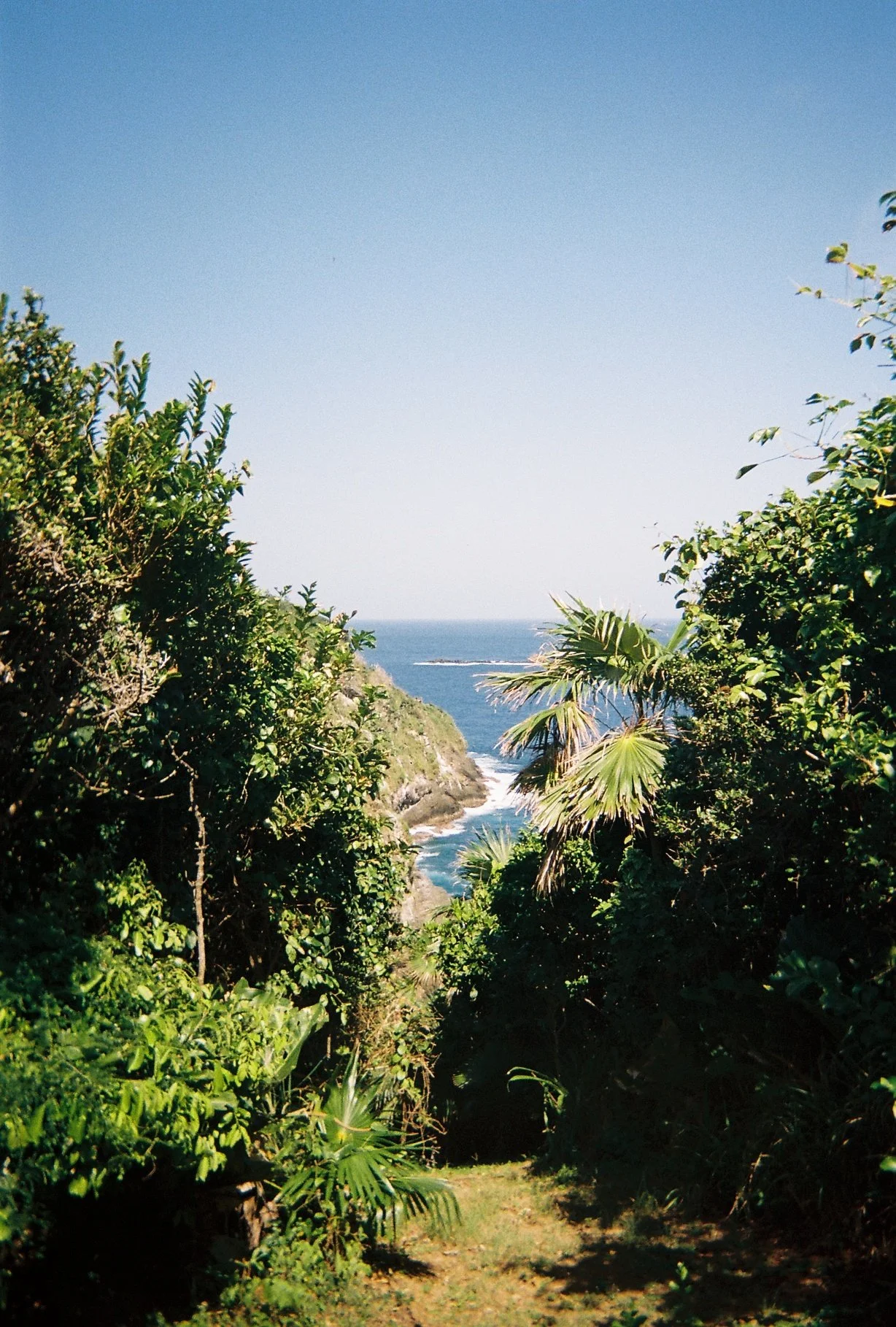 Photo May 16 2024, 7 13 01 AM.jpg