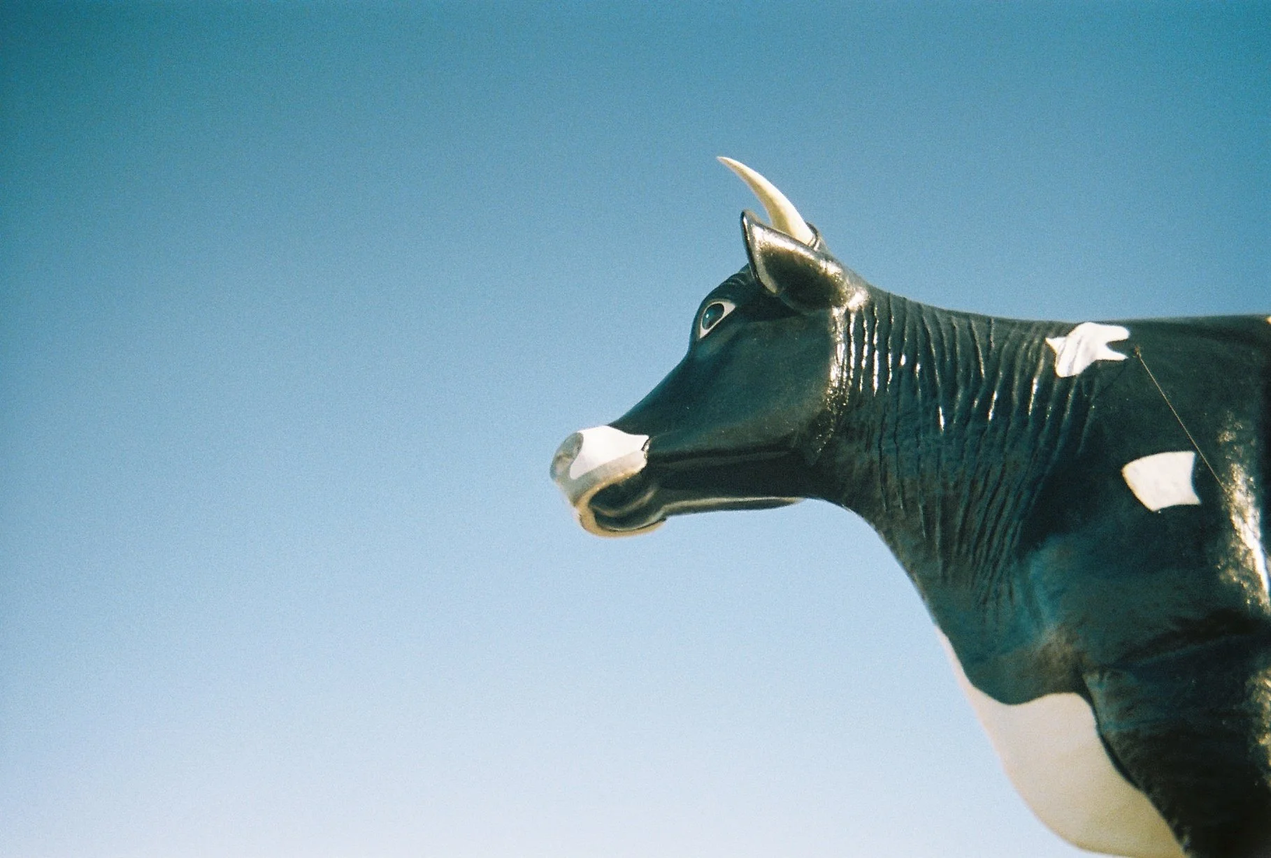 Photo May 16 2024, 7 13 55 AM (1).jpg