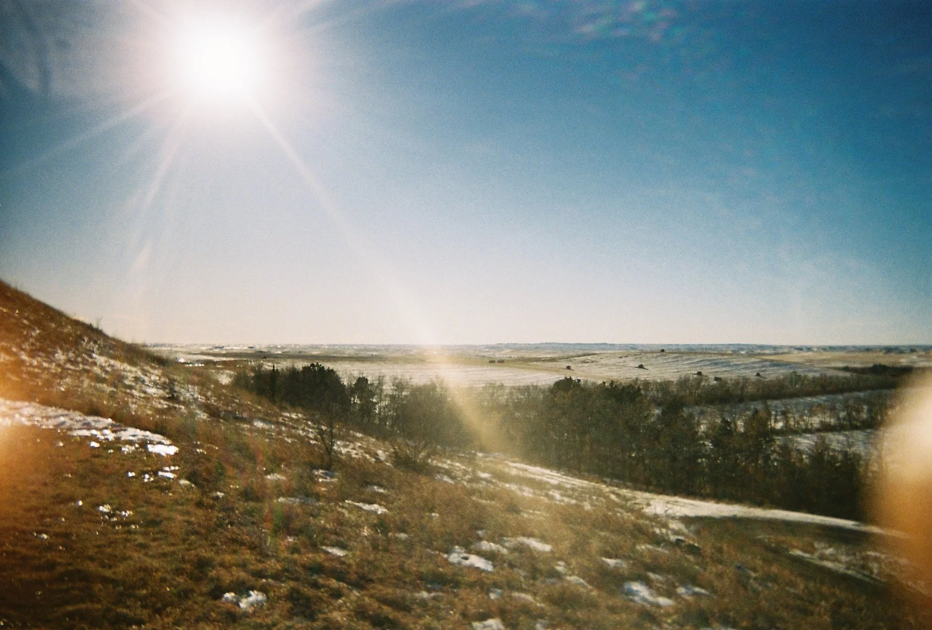 Photo May 16 2024, 7 13 07 AM (7).jpg