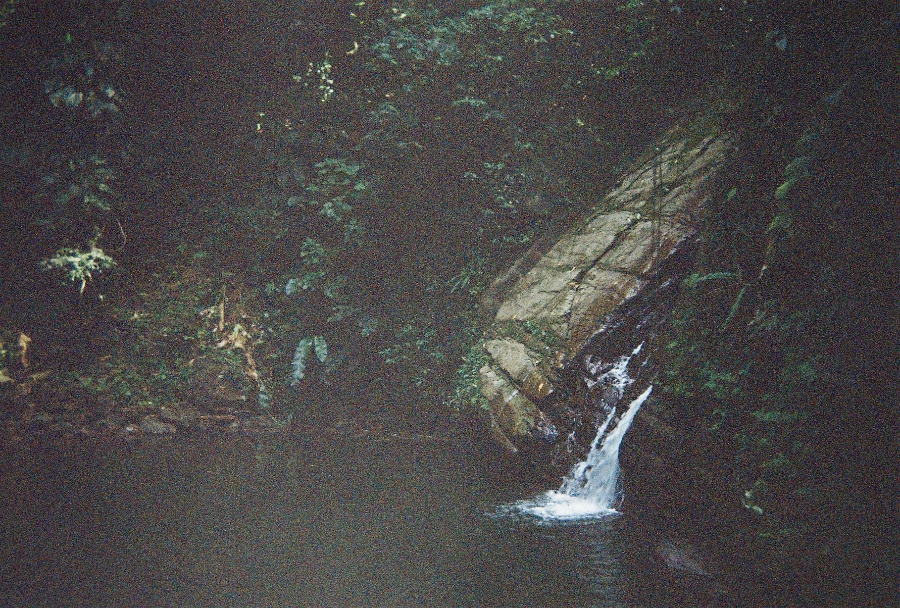 Photo May 16 2024, 7 12 58 AM (3).jpg