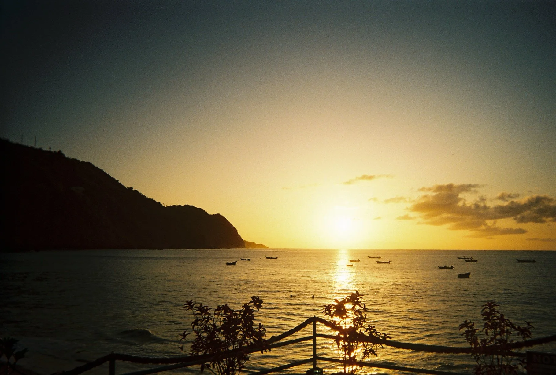 Photo May 16 2024, 7 13 07 AM (3).jpg