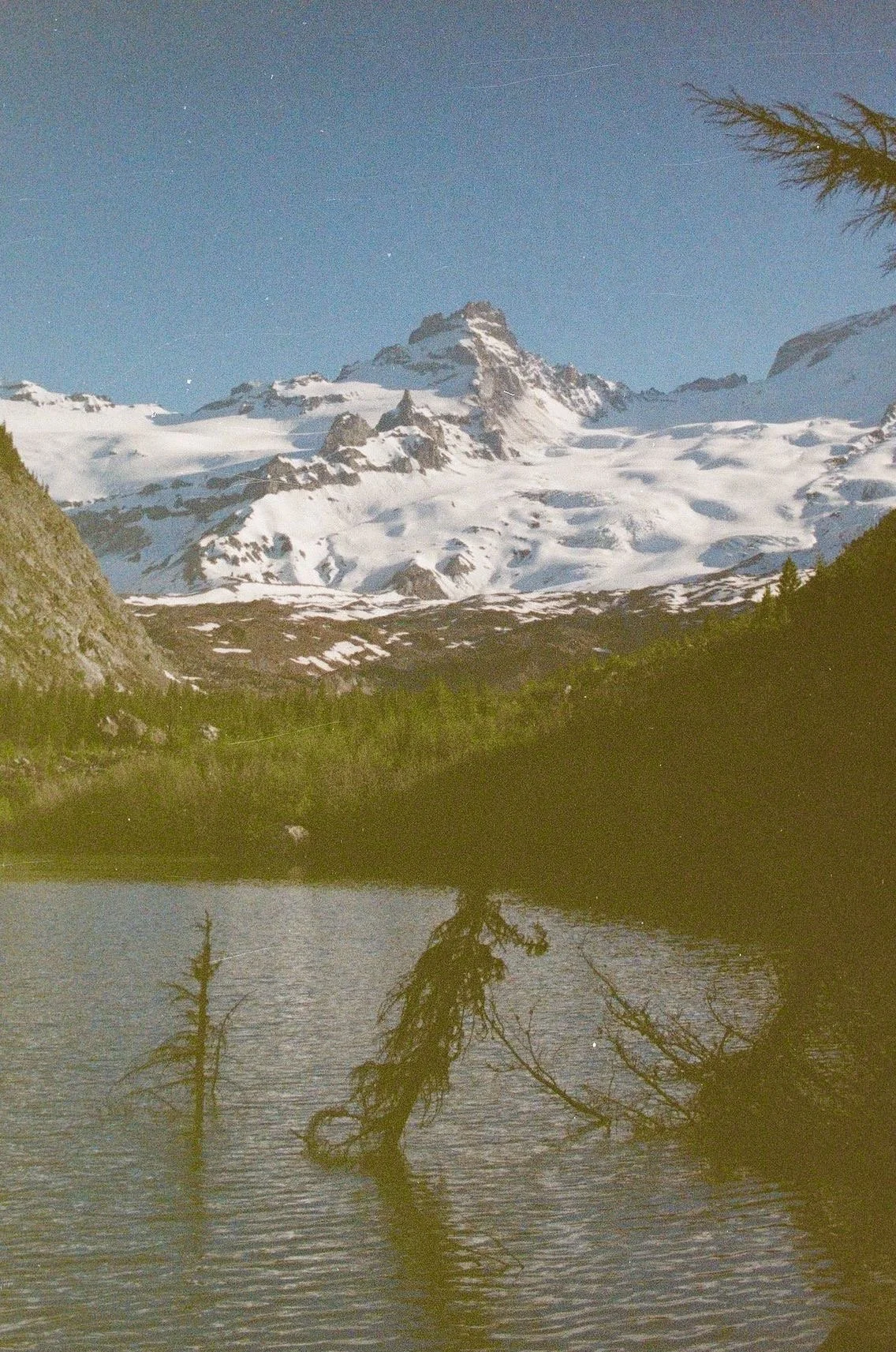 Photo Jun 01 2023, 1 13 42 PM.jpg