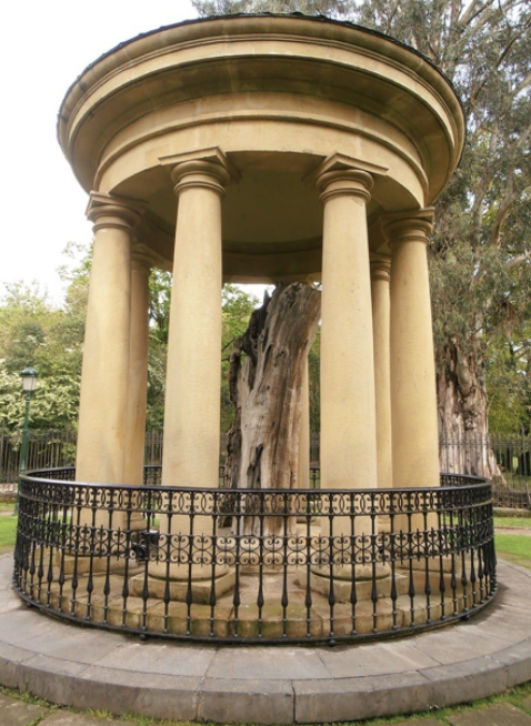 Call for Papers: Taking Root. Conserving Trees and/as Heritage