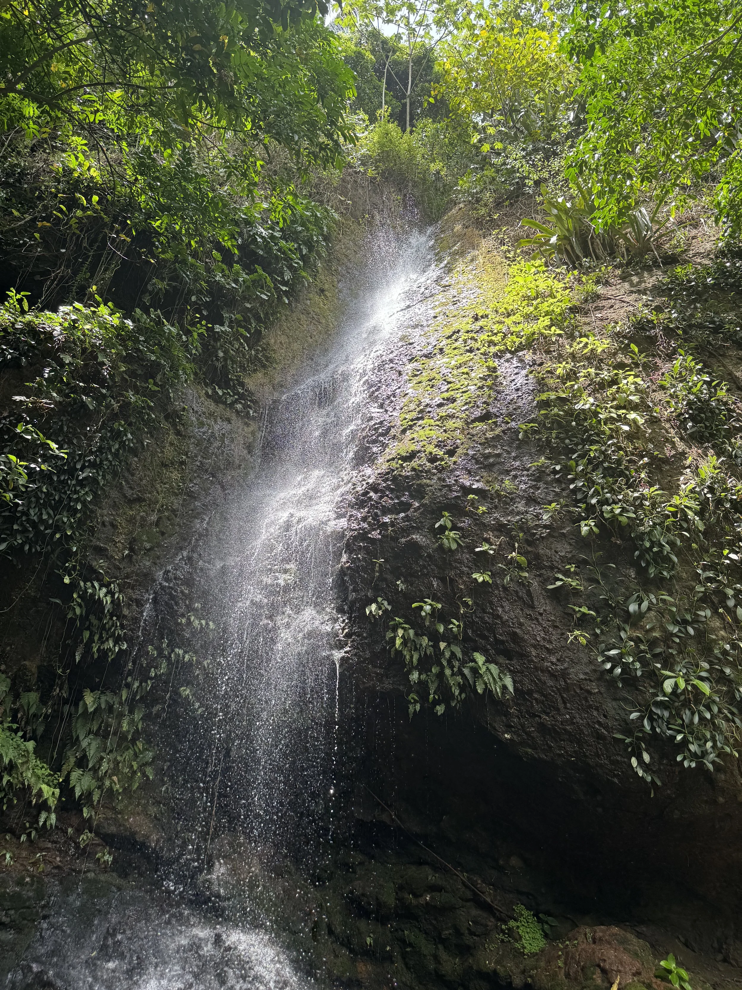 Waterfall I.JPG