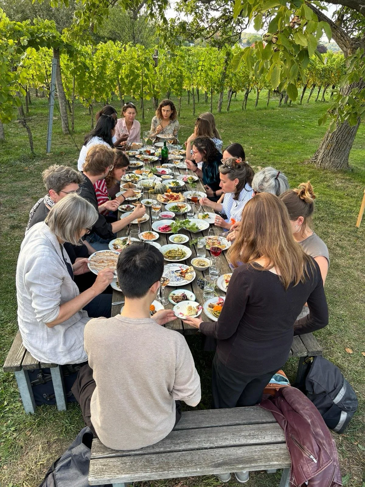 A Fall Outing to Reflect on Transdisciplinary Research