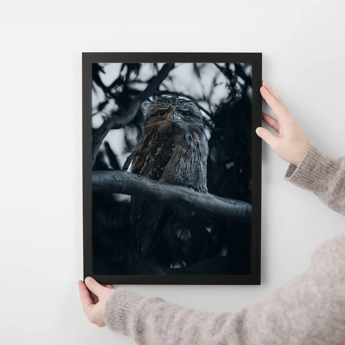 tawny framed.jpg