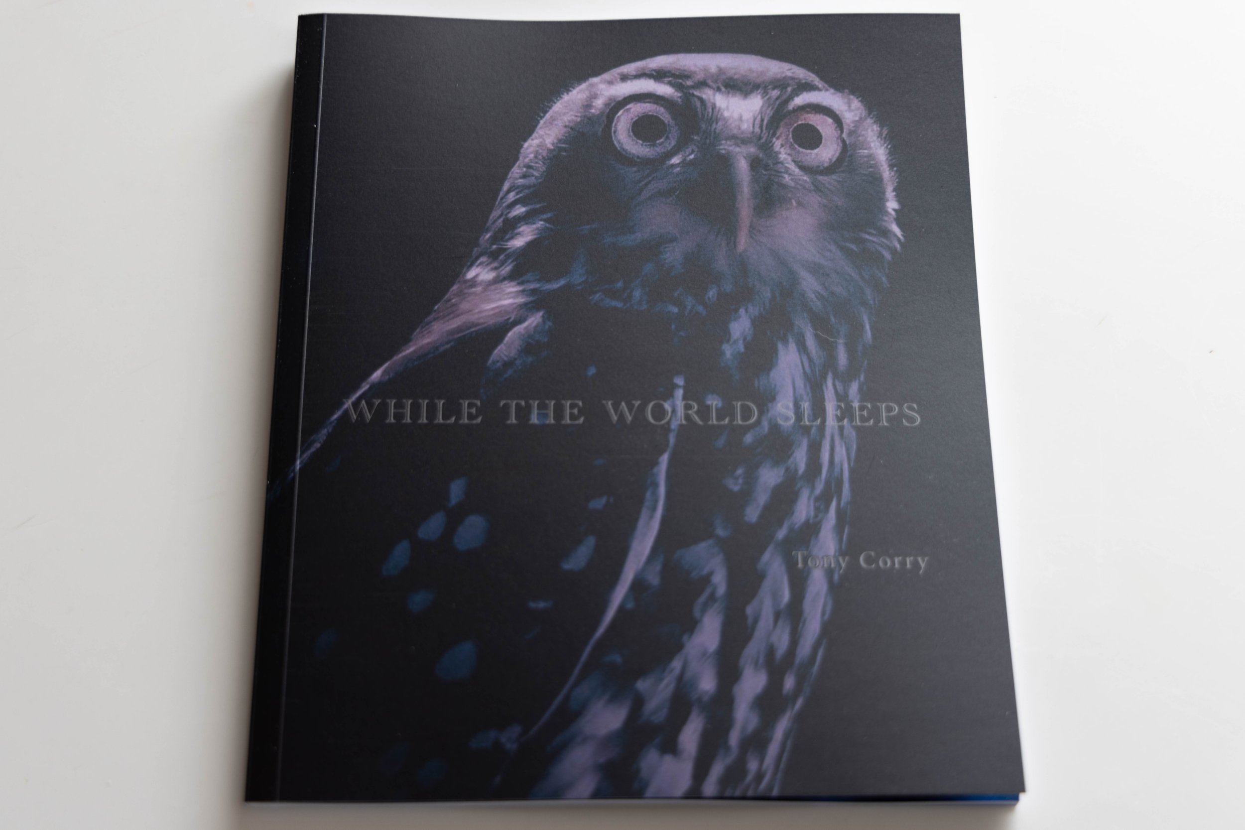 While the World Sleeps – Urban Wildlife Photography by Tony Corry