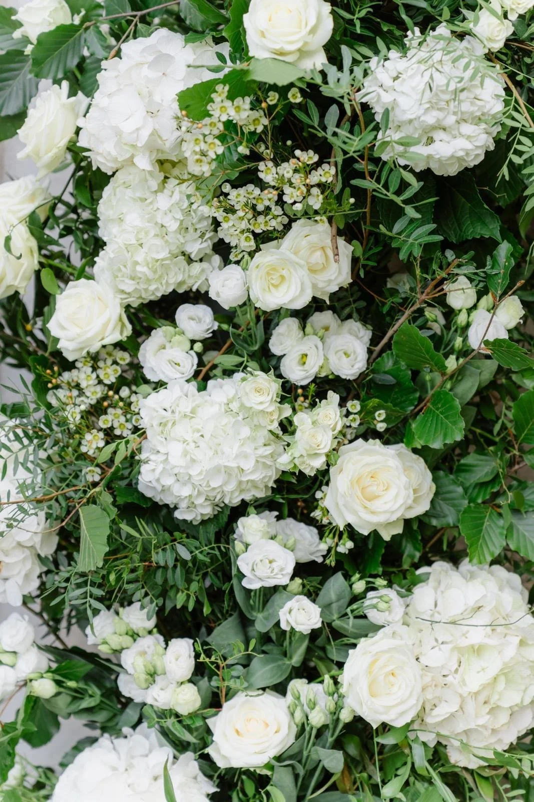 Close up flower arch, white hydrangea wedding