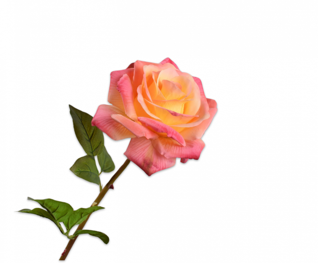 Rose stem peach rt 68 cm.png