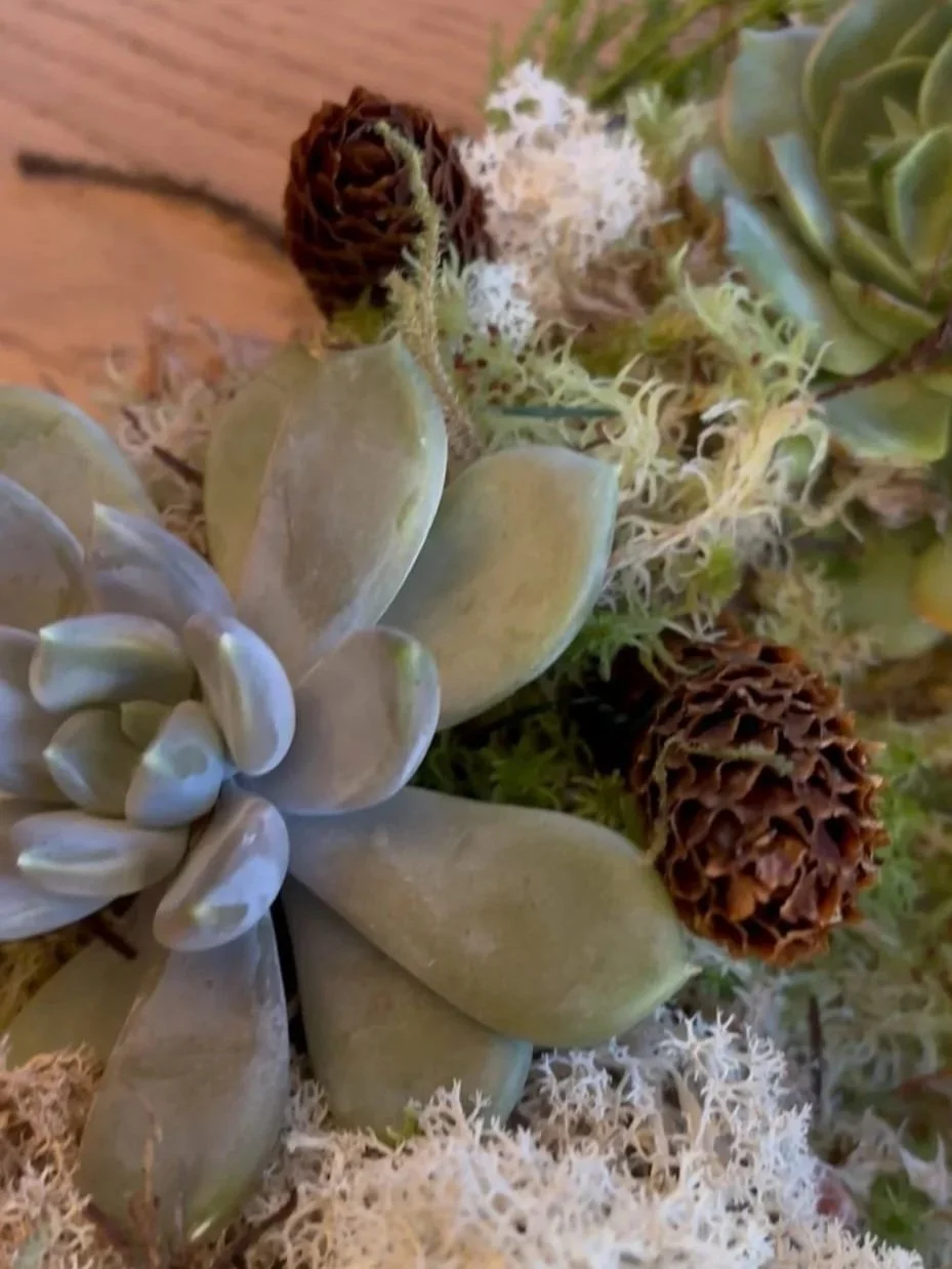 Succulent wreath close up