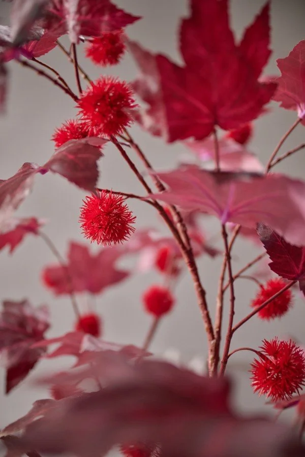 Chestnut spray burgundy 120 cm 4.jpg