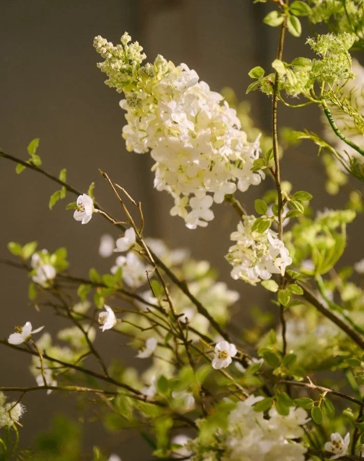 Bouquet Blossom 2.jpg