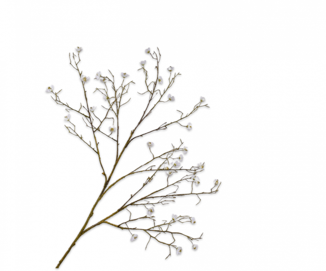 Blossom spray white 107 cm.png