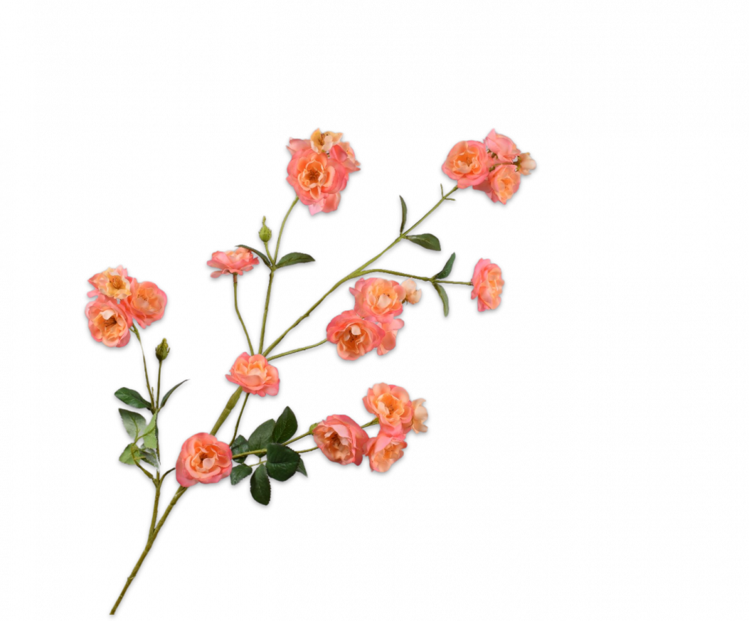 Rose spray peach 97 cm.png