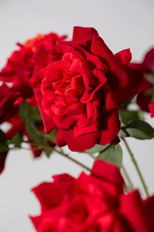 Rose stem red 65 cm 3.jpg