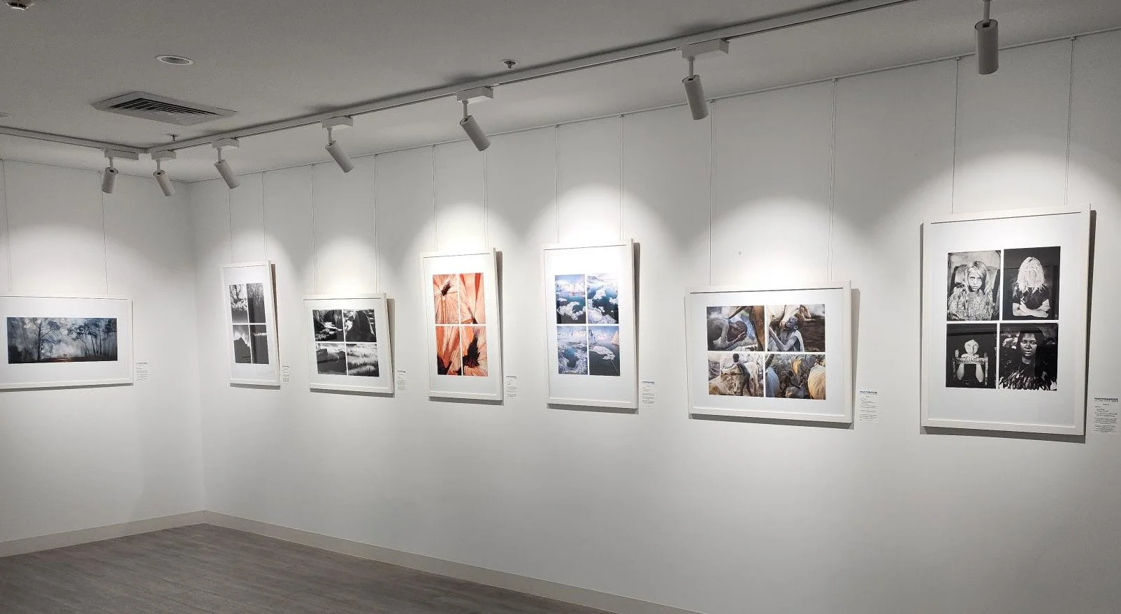 Framed photographs displayed at Ted’s World of Imaging.