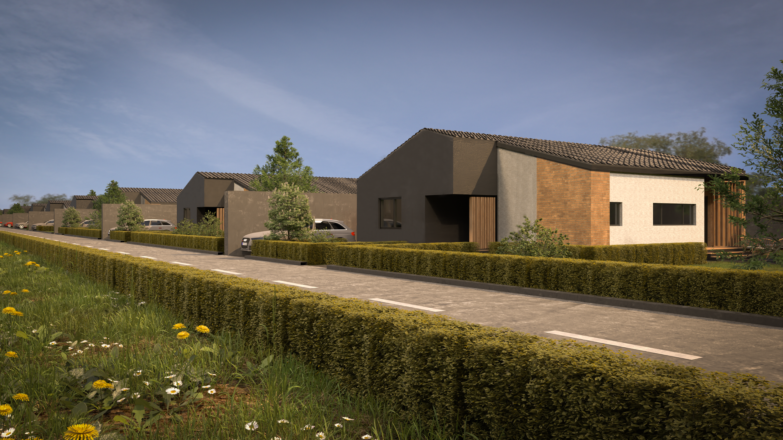 CASE LINIE 2 - POST_.png