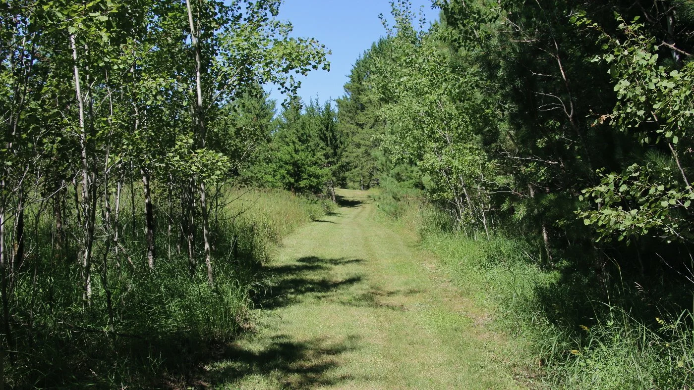 _31-Groomed trails copy.jpg