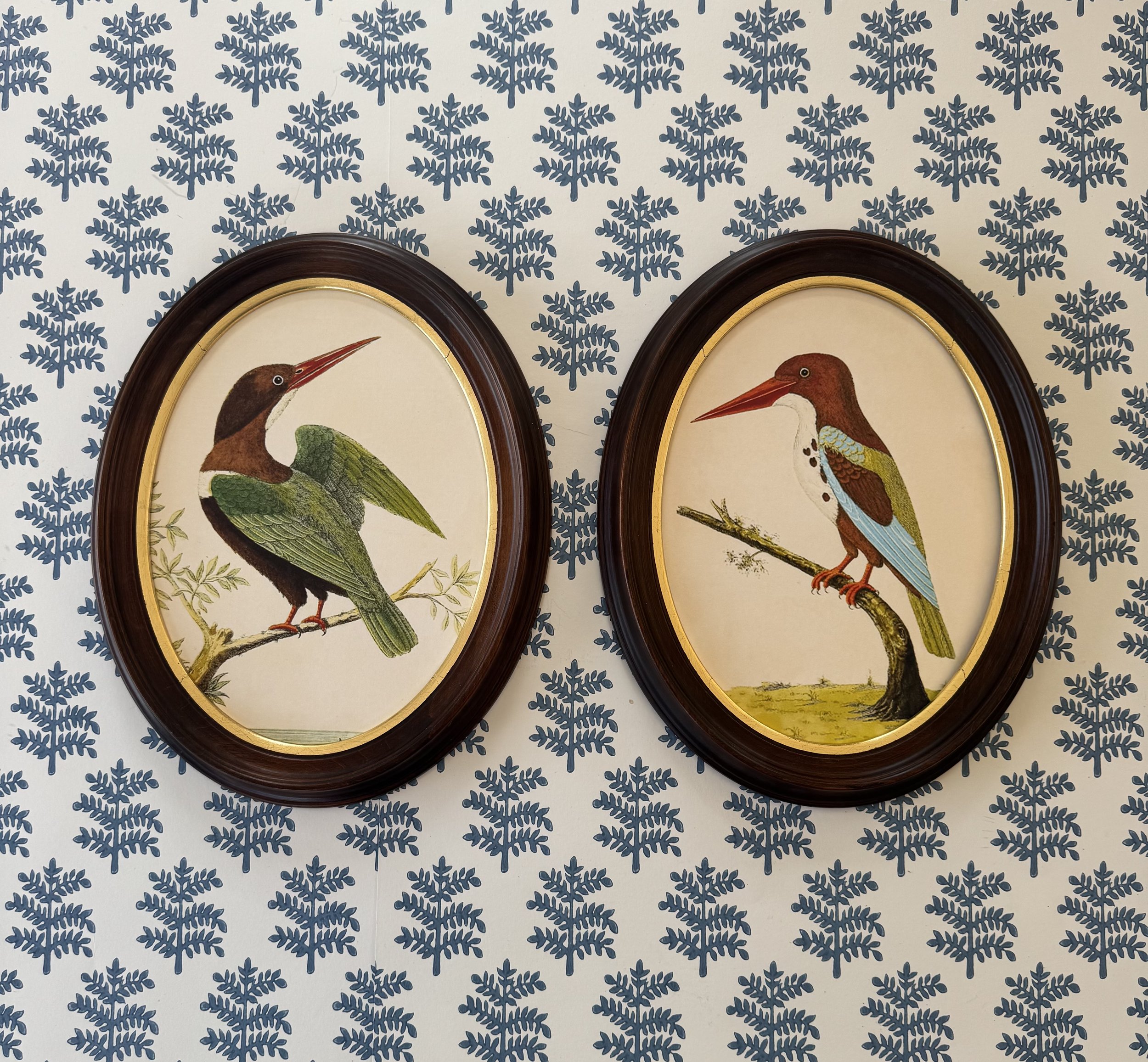Pair of Kingfishers
