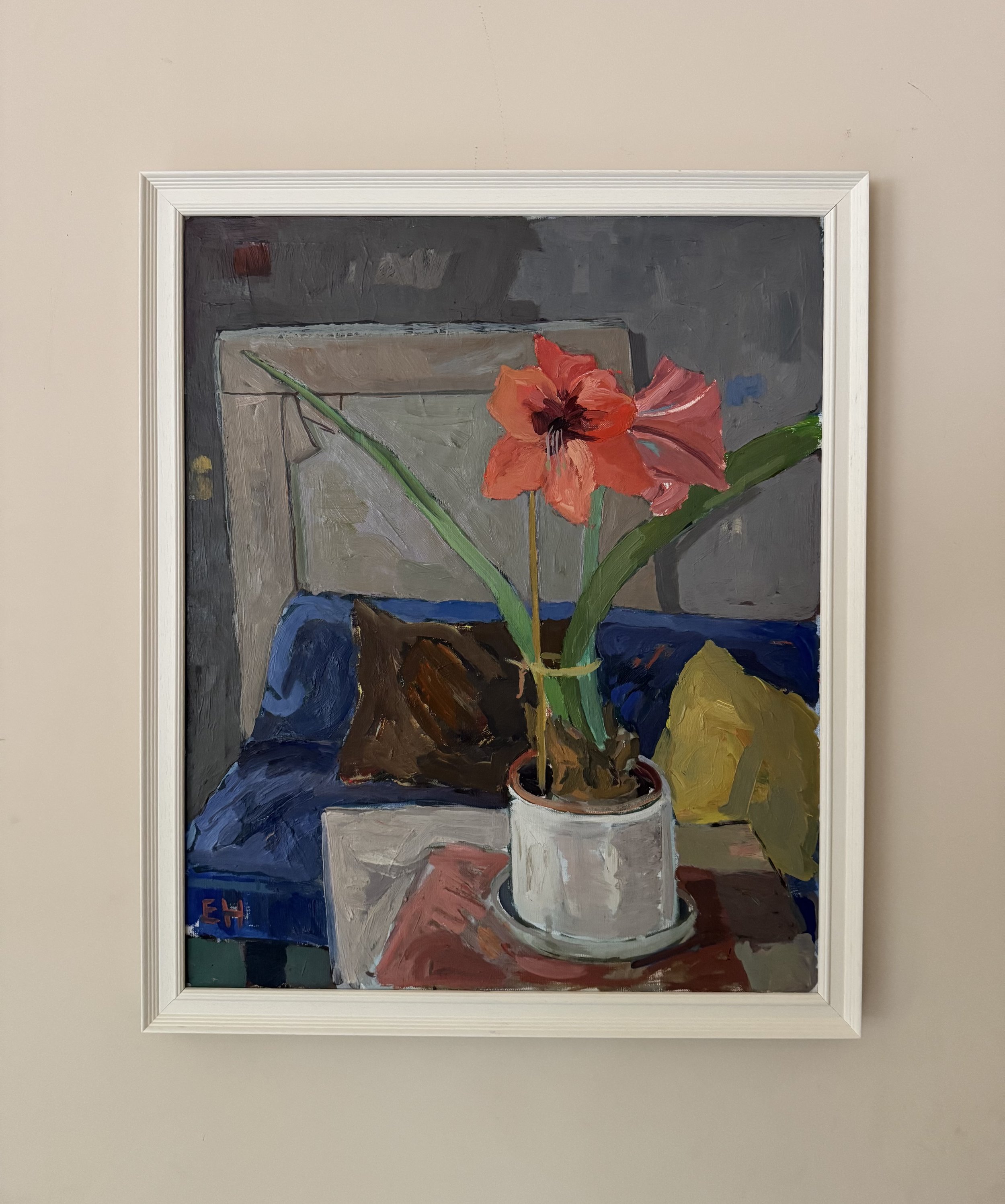 Amaryllis