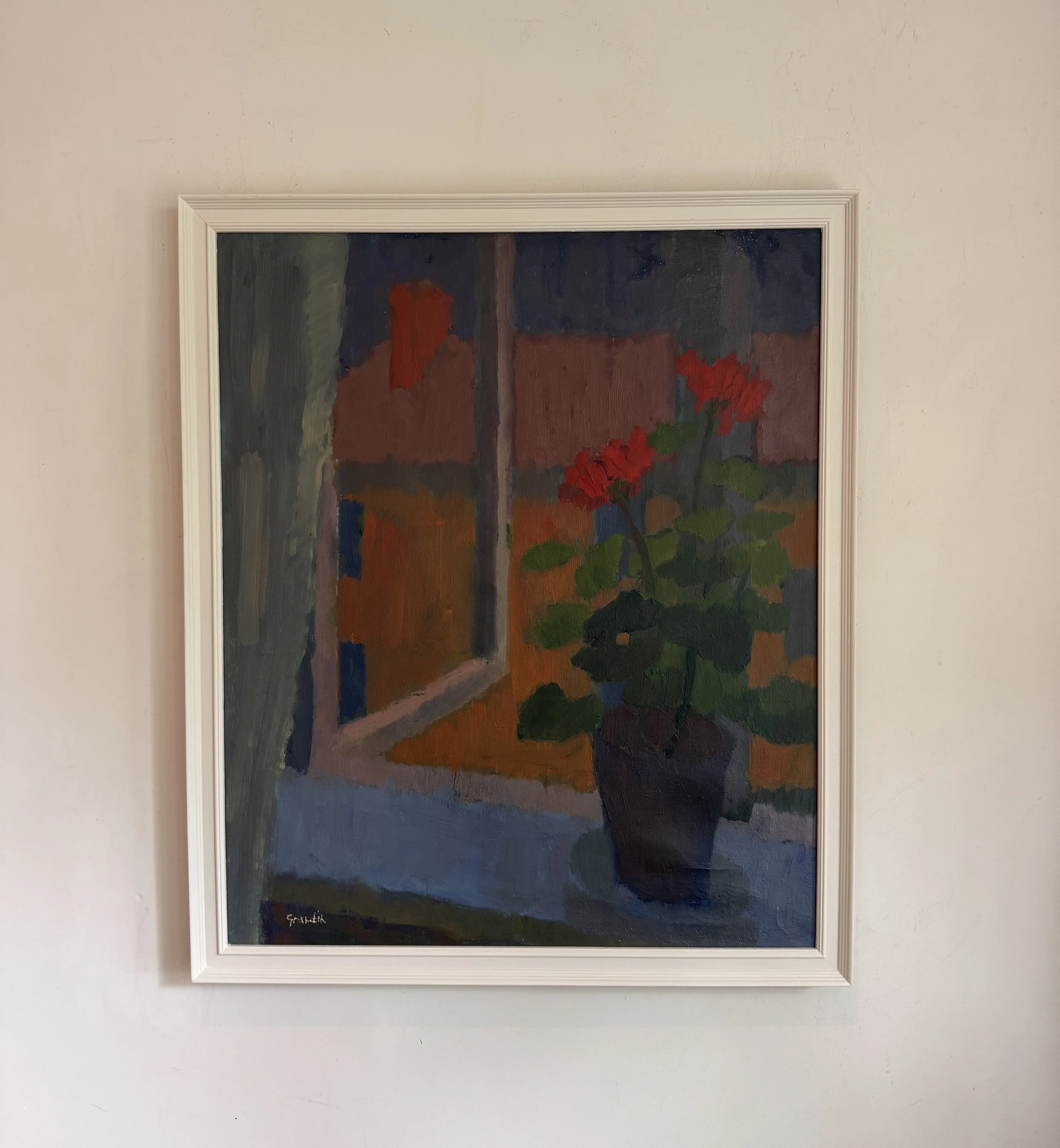 Pelargonium