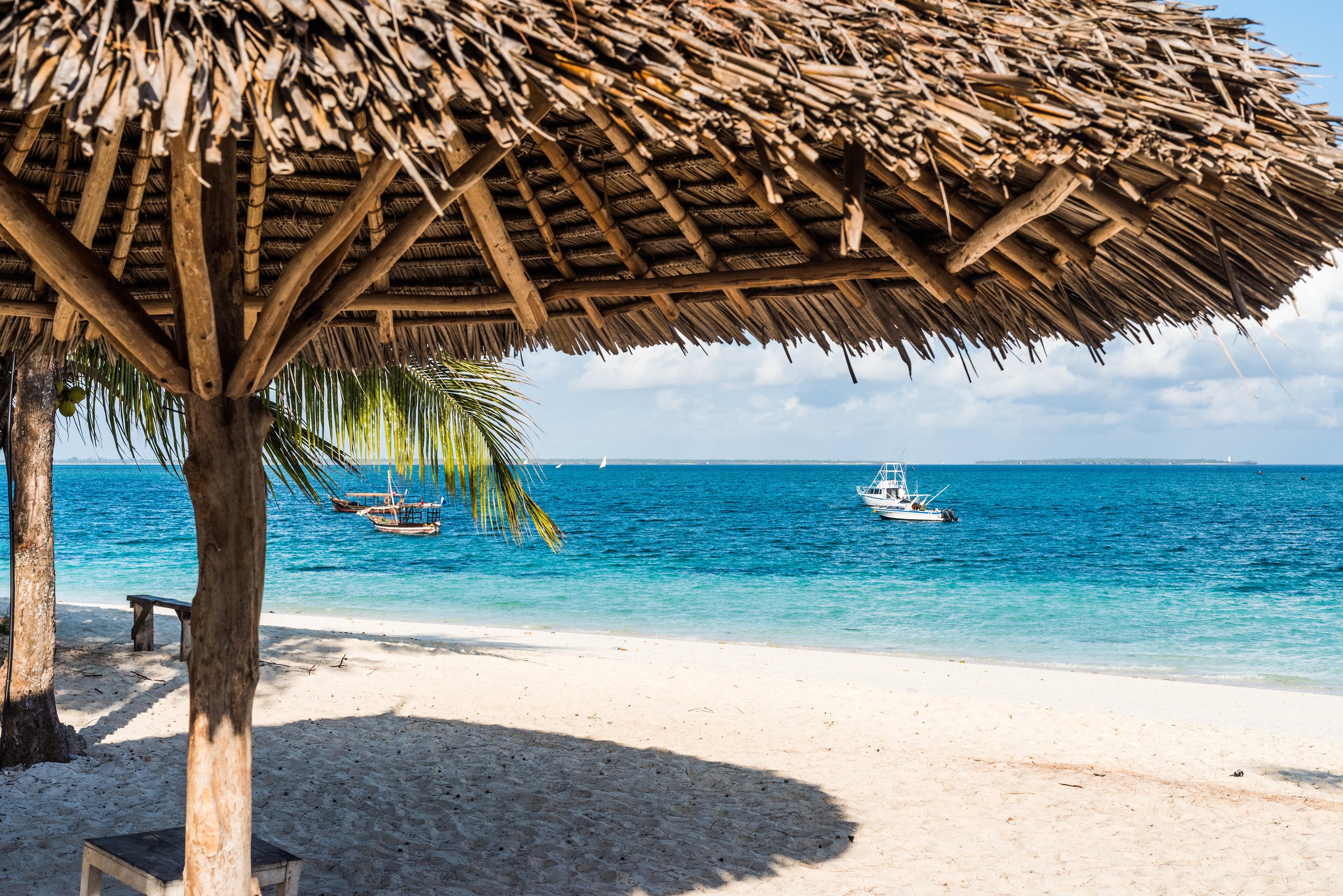 Escape to Zanzibar