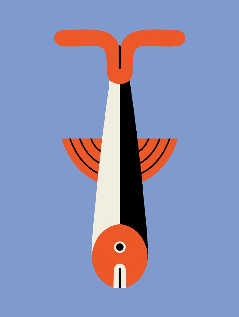 margherita caspani_00_0000_fish.jpg