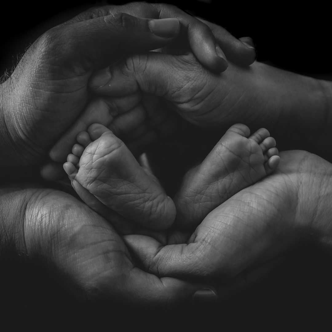 Progetto senza titolo (60).png
