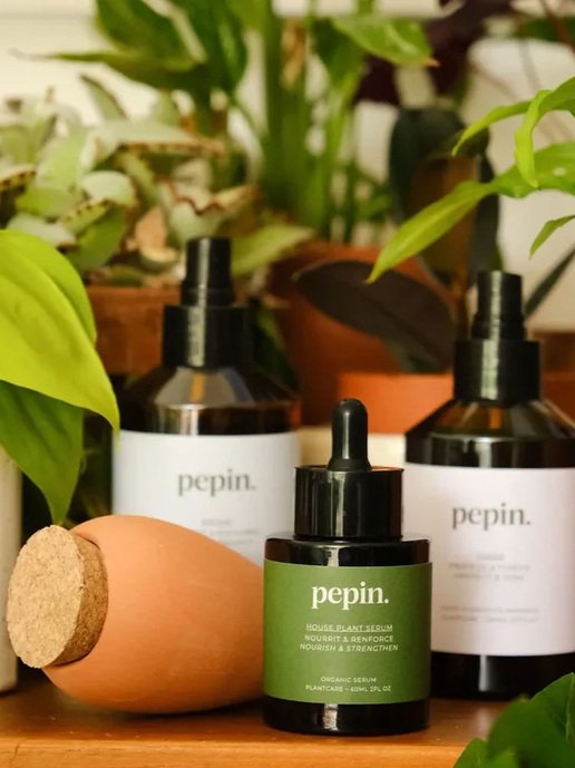 Routine de soin des plantes Pepin