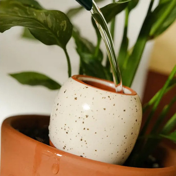 olla-hydratante-2.jpg