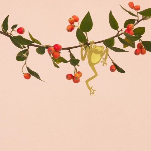 bijou-de-plante-1.jpg