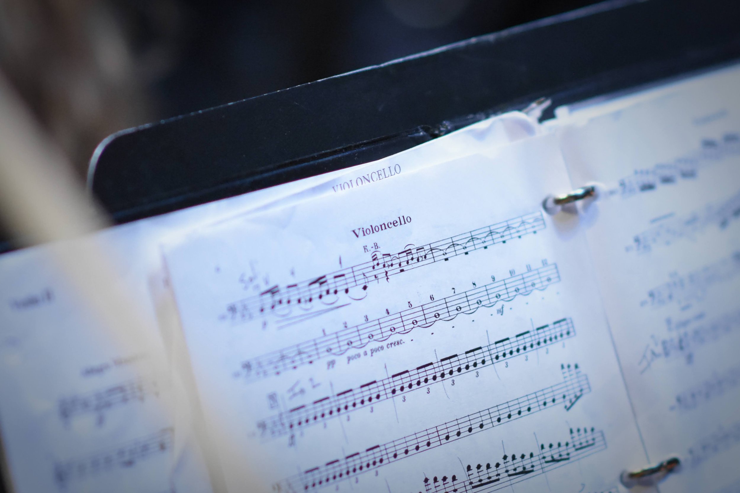 All Events TREASURE COAST YOUTH SYMPHONY All Events TREASURE COAST YOUTH SYMPHONY